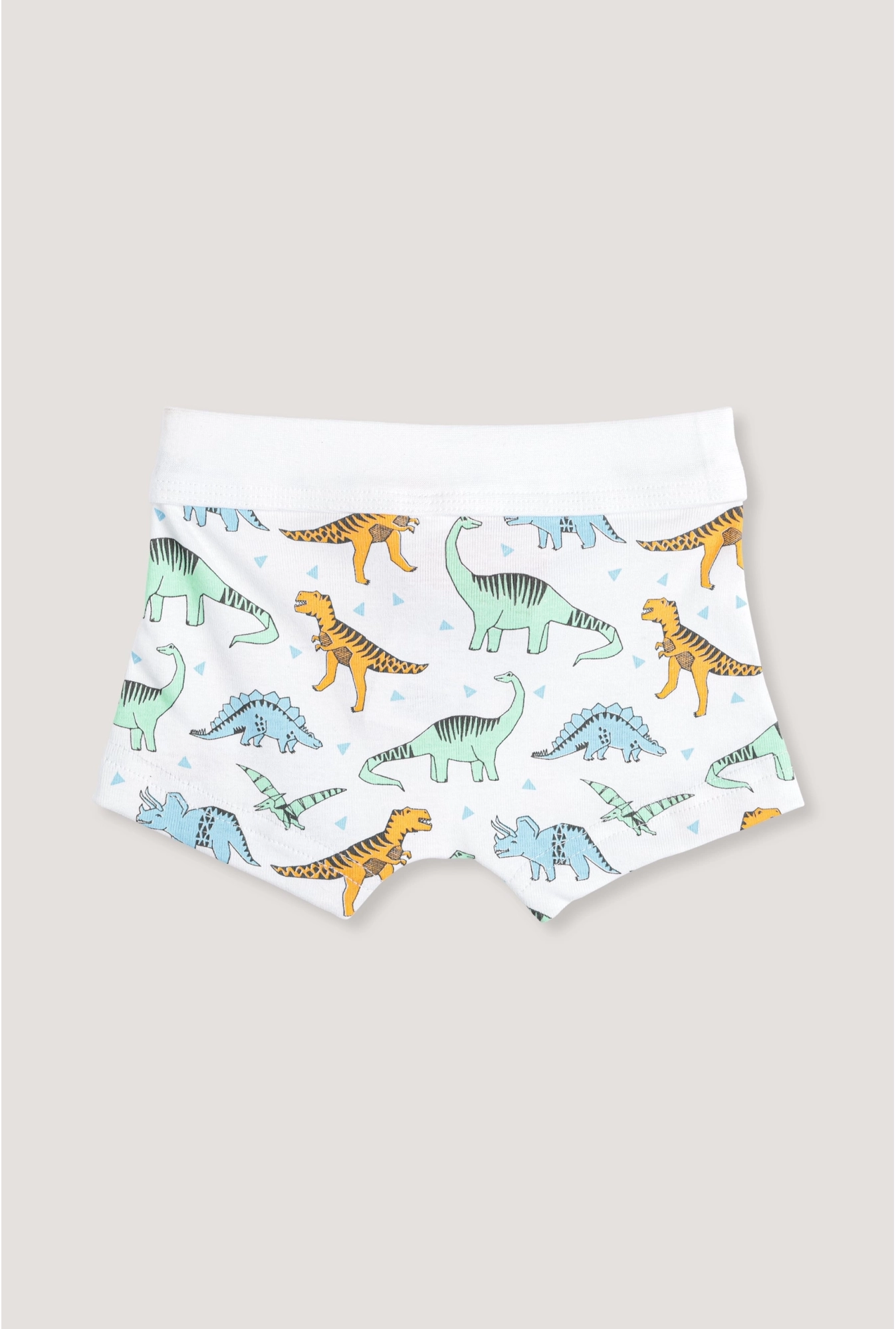 Bokserice za dečake pamuk - Dinosaur